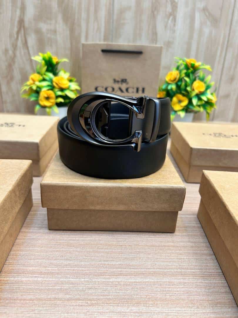 COACH_BELT_C183